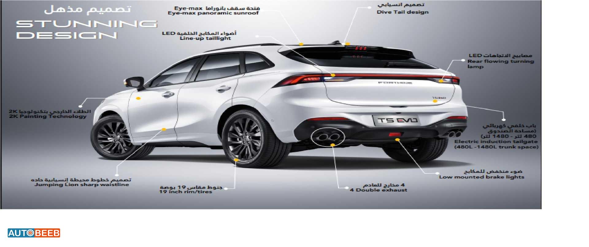 Dongfeng Forthing 2024